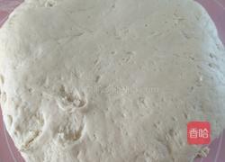 肉末萝卜丝包的做法图解4