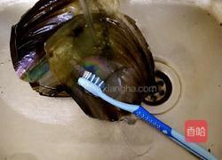 青瓜粉丝拌带子的做法图解5