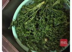 地菜春卷的做法图解1