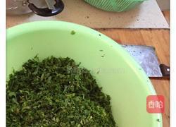 地菜春卷的做法图解7