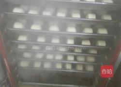 陕西杠子馒头的做法图解8
