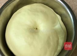 酸奶面包的做法图解7