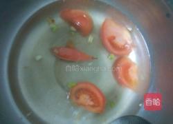西红柿油麦菜鸡蛋面的做法图解6