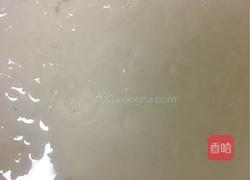 木瓜燕窝的做法图解2