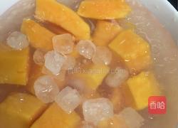 木瓜燕窝的做法图解6