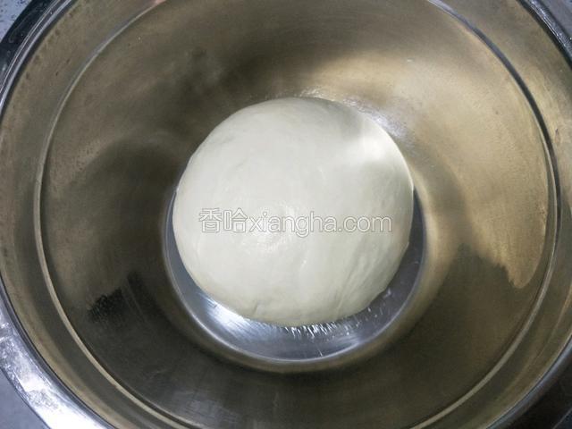 再揉圆放入容器，放在温暖的地方发酵