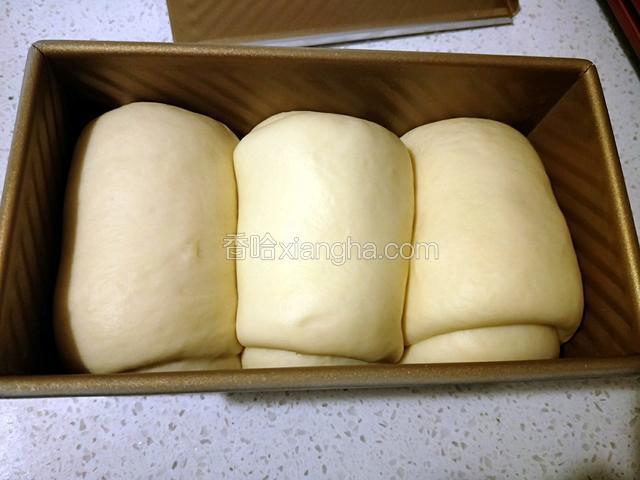 发酵至土司盒9分满