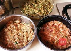 果蔬汁色彩水饺的做法图解5