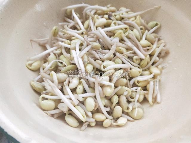豆芽洗净