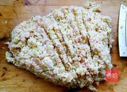 猪肉白菜饺子的做法图解4