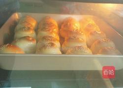 蜂蜜面包的做法图解13