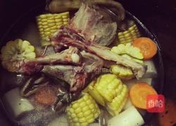 石锅鸭的做法图解11