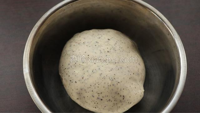 整理面团，密封放在约28度环境下发酵