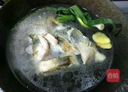 鲈鱼汤的做法图解4