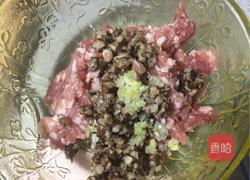 蔬菜汁水饺的做法图解5