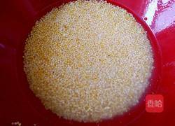 枸杞小米粥的做法图解2