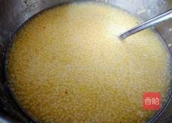 枸杞小米粥的做法图解6