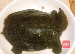 清炖甲鱼的做法图解1