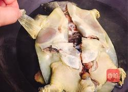 清炖甲鱼的做法图解6