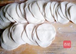 冬至之羊肉胡萝卜饺子的做法图解13