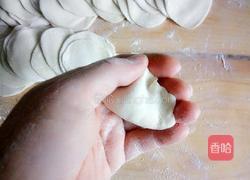 冬至之羊肉胡萝卜饺子的做法图解17