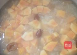 木瓜百合银耳汤的做法图解3