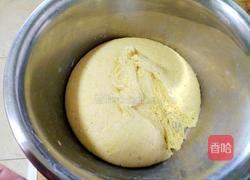 玉米面馒头的做法图解6