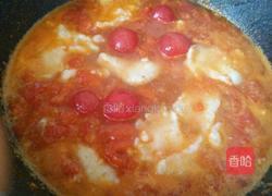 番茄鱼汤的做法图解13