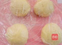 椰蓉辫子面包的做法图解3
