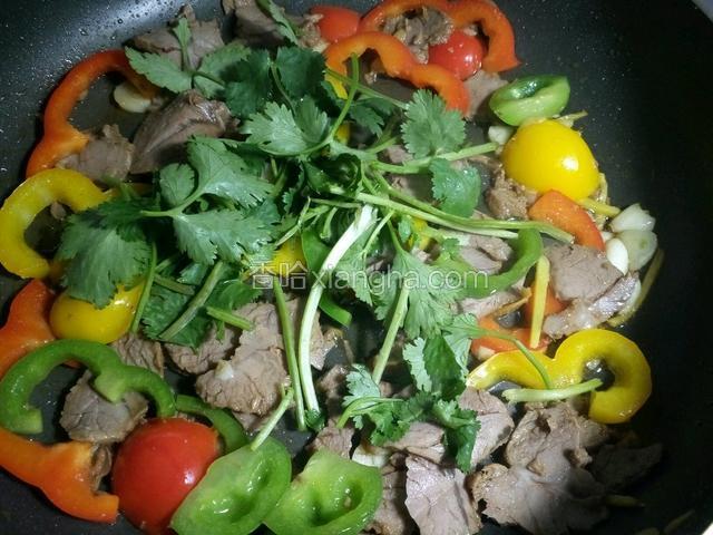 待汁水收干撒入香菜。因为卤牛肉有咸味，就不需要加盐。