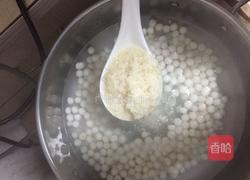 酒酿圆子的做法图解2