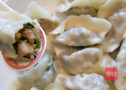韭菜鸡蛋虾仁饺子的做法图解4
