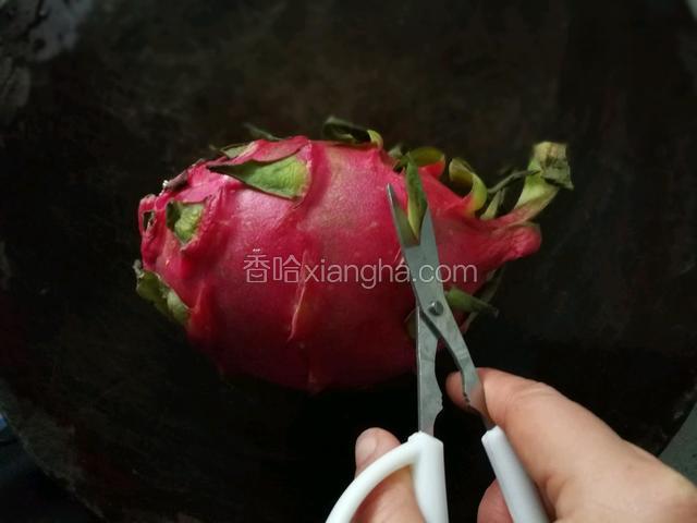 火龙果剪掉边叶。