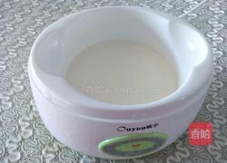 益生菌酸奶的做法图解3