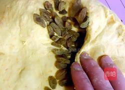 南瓜葡萄干面包的做法图解9