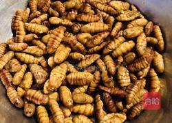 辣炒蚕蛹的做法图解1