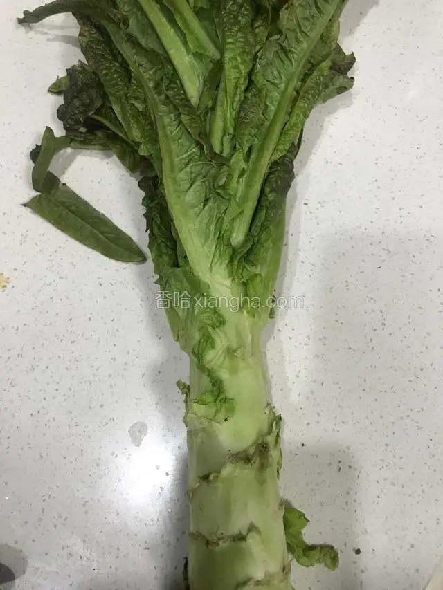 选大小适中莴笋