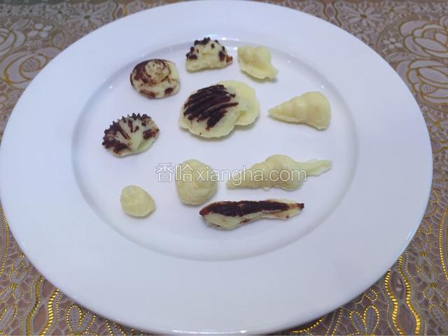 就是一个个贝壳、海螺啦
