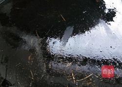 三鲜馅饼的做法图解9