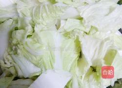 自制辣白菜的做法图解1