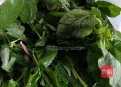 白苋菜饺子的做法图解1