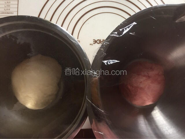 再面包机还剩下五分钟时按下暂停键，取出面团排气分割成两份，其中一份加入红曲粉揉匀后分别盖保鲜膜发酵
