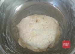 毛毛虫豆沙包(手揉版)的做法图解4