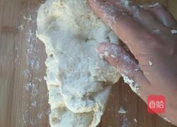 毛毛虫豆沙包（手揉版）的做法图解5
