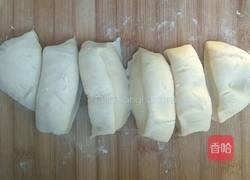 毛毛虫豆沙包(手揉版)的做法图解16