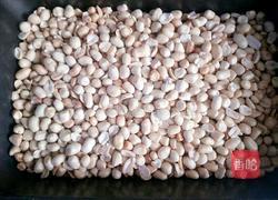 炒面(油茶)的做法图解6