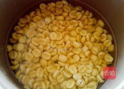 莲蓉馅的做法图解6