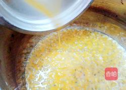 百香果酱的做法图解5