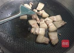 冬日御寒之白萝卜炖五花肉的做法图解3