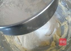 椰丝球的做法图解10